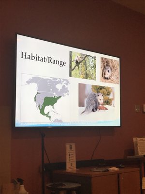 Clinic for the Rehabilitation of Wildlife (CROW) - Visitor Education Center by null