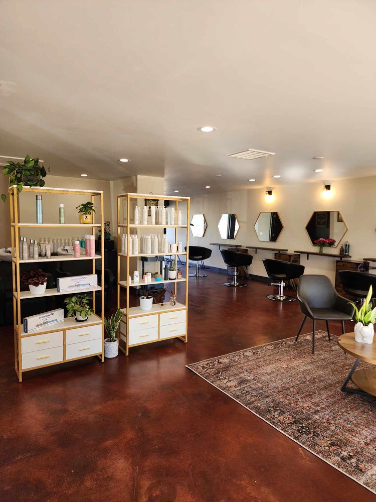 Hive Hair Collective Logo