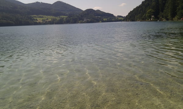 Fuschlsee by null