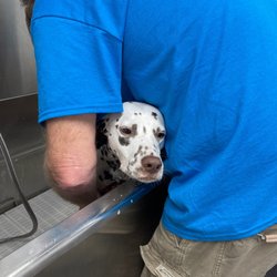 Tractor Supply - This girl iso sweet!