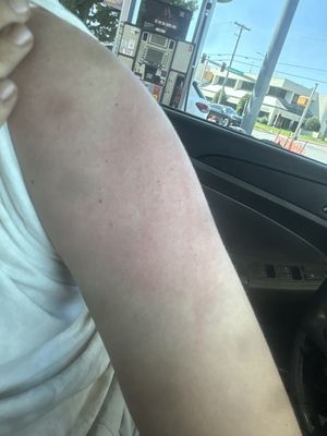 Automotive Audio & Accessories