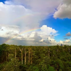 Roots Houston Endodontics - The view at ROOTS!