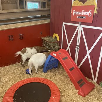 Purina Farms - Attraction Farms Near Me - Gray Summit, Missouri Purina Farms - Attraction Farms Near Me - Gray Summit, Missouri