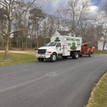 Beautiful Yards Tree Service - Tree Services Near Me - Capitol Heights, Maryland Beautiful Yards Tree Service - Tree Services Near Me - Capitol Heights, Maryland