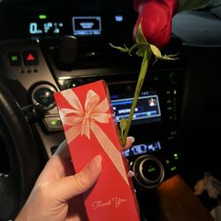 Lush Nail Bar - West Cobb - Valentines gift