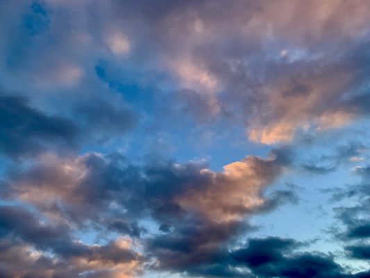 Nashoba Brook Bakery by null