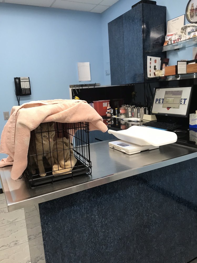 MASSAPEQUA PET VET ANIMAL MEDICINE & SURGERY Updated August 2024 35