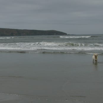 Dillon Beach - Beaches Near Me - Dillon Beach, California Dillon Beach - Beaches Near Me - Dillon Beach, California