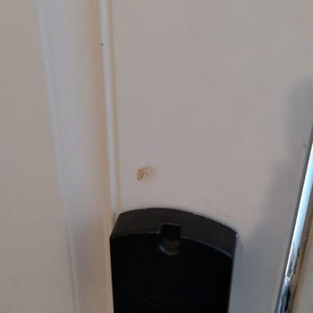 Rodeway Inn - Dirt over door handle - Hotels Near Me - Chico, California Rodeway Inn - Dirt over door handle - Hotels Near Me - Chico, California