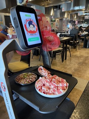 Honey Pig Hot Pot + Korean BBQ by null