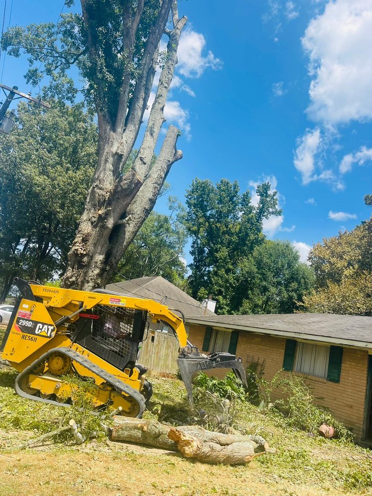 Slide of Funez Tree Service & More