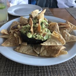 Guacamole and the family Guacamole and the family