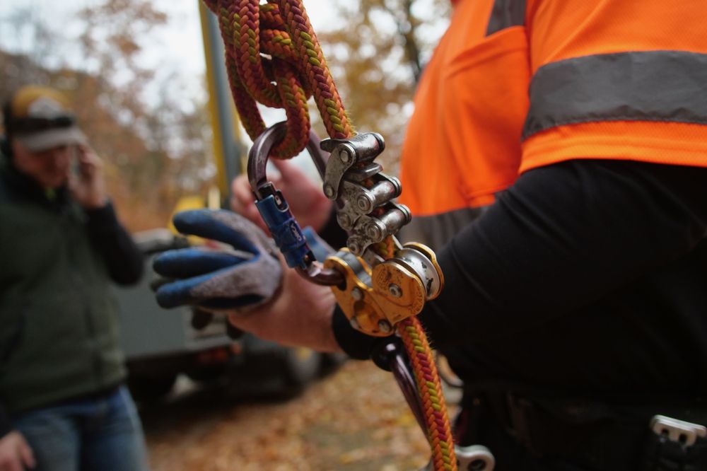 PRESERVATION TREE Gilmanton, New Hampshire Tree Services Phone