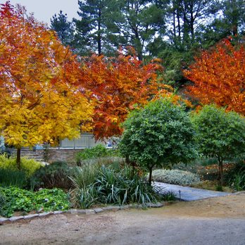 Utrilla's Landscape And Irrigation - Landscaping Near Me - sun valley, California Utrilla's Landscape And Irrigation - Landscaping Near Me - sun valley, California