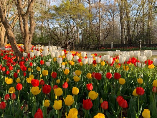 The State Botanical Garden of Georgia by null