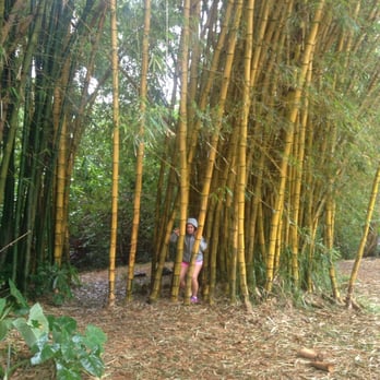 Twin Falls Trail - Bamboo - Hiking Near Me - Haiku, Hawaii Twin Falls Trail - Bamboo - Hiking Near Me - Haiku, Hawaii