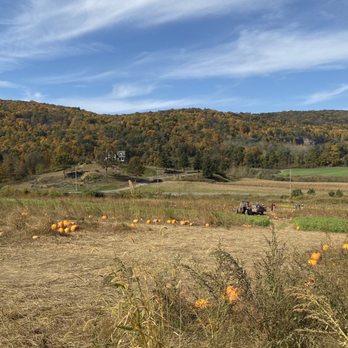 Dykeman Farm - Pumpkin picking - Pumpkin Patches Near Me - Pawling, New York Dykeman Farm - Pumpkin picking - Pumpkin Patches Near Me - Pawling, New York