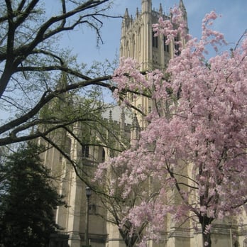 Flower Mart - National Cathedral in the Spring. - Festivals Near Me - Washington, DC, District of Columbia Flower Mart - National Cathedral in the Spring. - Festivals Near Me - Washington, DC, District of Columbia