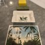 Photo of Irie