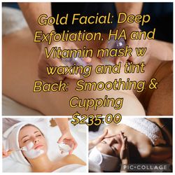 Phoenix Rizen Day Spa - Spa Relaxation Package $235.00