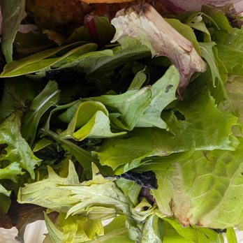 Barefoot Beach Cafe - Old lettuce, not at all edible. - Breakfast & Brunch Near Me - Honolulu, Hawaii