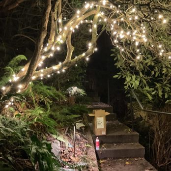 Capitol Cleaning - Christmas lights 2 - Home Cleaning Near Me - Seattle, Washington Capitol Cleaning - Christmas lights 2 - Home Cleaning Near Me - Seattle, Washington