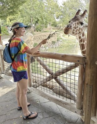 Omaha's Henry Doorly Zoo and Aquarium by null