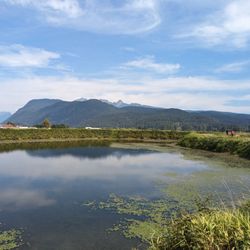 Traboulay Poco Trail