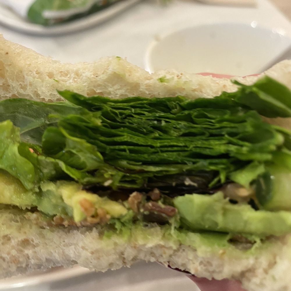 Panera Bread - Roasted Turkey & Avocado BLT - Sandwiches Near Me - Concord, New Hampshire