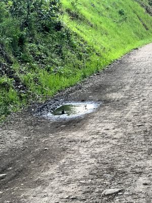 Trione-Annadel State Park by null