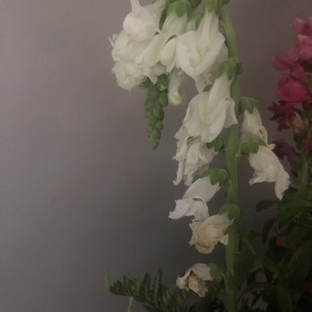 Morristown Florist - Awful. - Florists Near Me - Morristown, New Jersey Morristown Florist - Awful. - Florists Near Me - Morristown, New Jersey