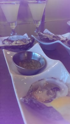 Current Fish and Oyster by null