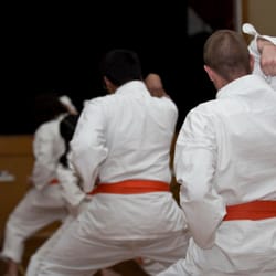 Lion Budokan Karate International
