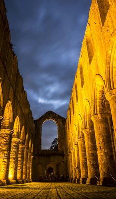 Fountains Abbey by null
