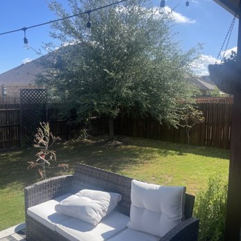 Veloz Tree Services - Before - Tree Services Near Me