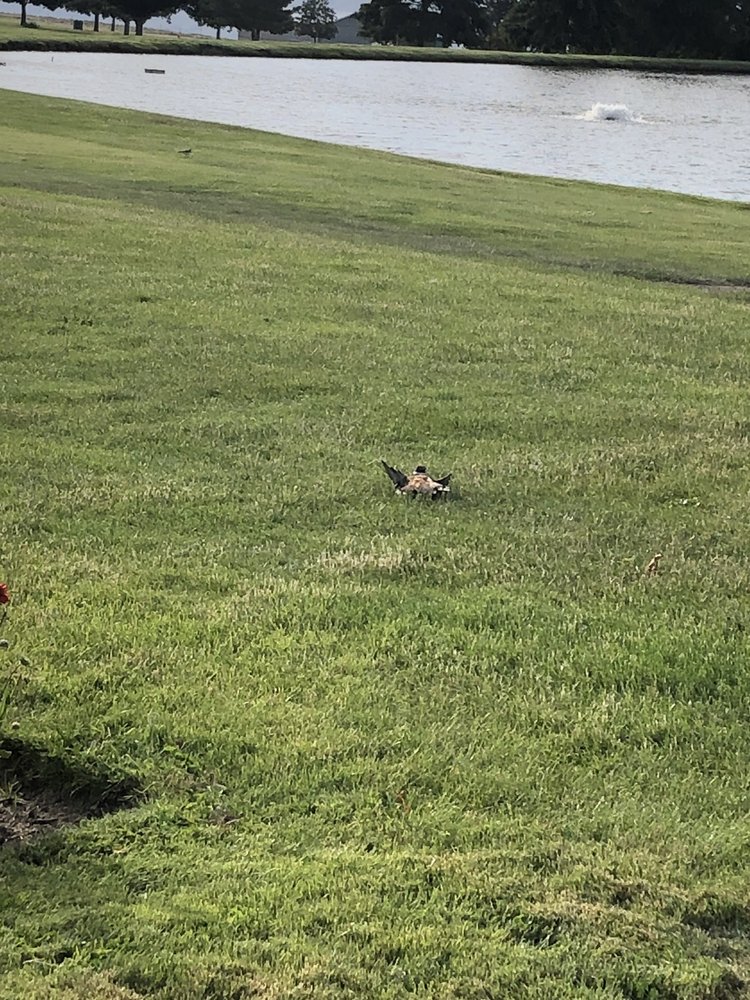BRYDEN CANYON PUBLIC GOLF COURSE Updated July 2025 14 Photos 445