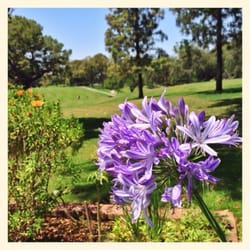 Country Club Villa, RCFE - Another picture from the backyard of Country Club Villa.