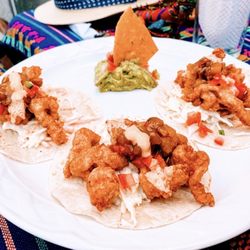 Dopi's - Shrimp Tacos