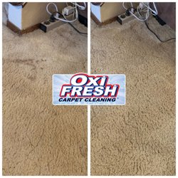 Oxi Fresh Carpet Cleaning