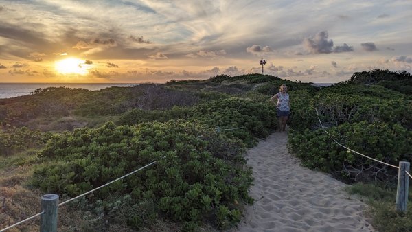 Kaʻena Point Trail by null