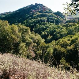 Maple Canyon - View of Maple Canyon from Ziele Creek Trail on the northern slope above Maple Canyon. - - Tom Brody - Hiking Near Me - Hayward, California