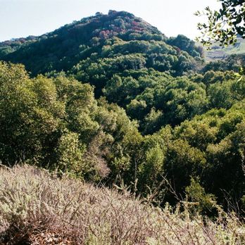Maple Canyon - View of Maple Canyon from Ziele Creek Trail on the northern slope above Maple Canyon. - - Tom Brody - Hiking Near Me - Hayward, California Maple Canyon - View of Maple Canyon from Ziele Creek Trail on the northern slope above Maple Canyon. - - Tom Brody - Hiking Near Me - Hayward, California
