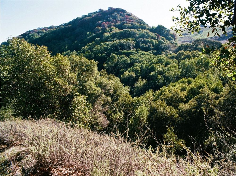 Maple Canyon - View of Maple Canyon from Ziele Creek Trail on the northern slope above Maple Canyon. - - Tom Brody - Hiking Near Me - Hayward, California Maple Canyon - View of Maple Canyon from Ziele Creek Trail on the northern slope above Maple Canyon. - - Tom Brody - Hiking Near Me - Hayward, California
