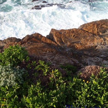 Blue Lotus - Coastal Cove - Skin Care Near Me Blue Lotus - Coastal Cove - Skin Care Near Me