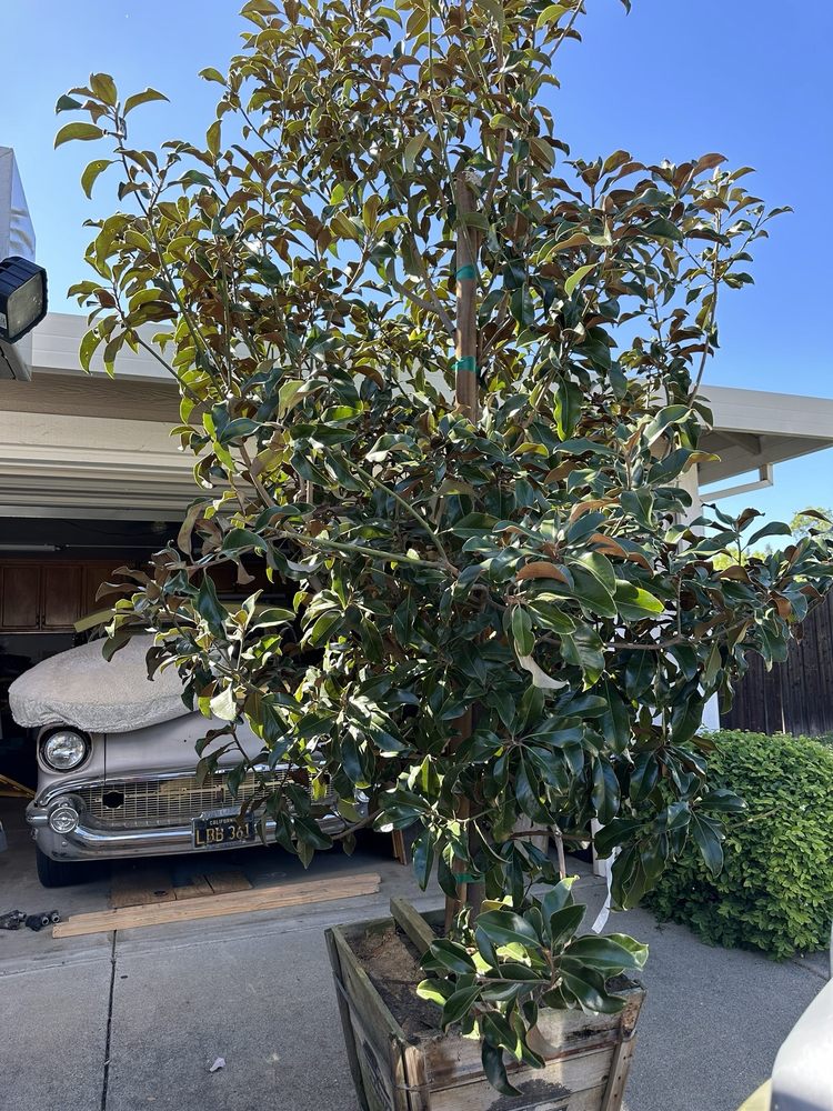 FRANTZ WHOLESALE NURSERY Updated August 2024 16 Reviews 12161