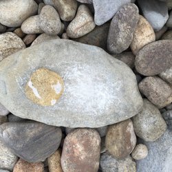 Totem Pole Inn - Hard Fried Egg Stones along Philbin Beach, Aquinnah-Martha's Vineyard