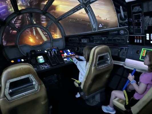 Millennium Falcon: Smugglers Run by null