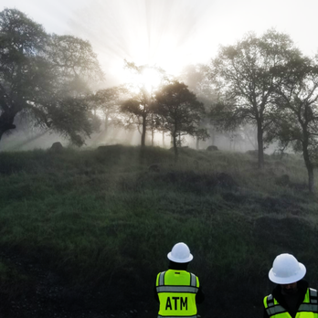 American Tree Medics - Tree Services Near Me - Merced, California American Tree Medics - Tree Services Near Me - Merced, California