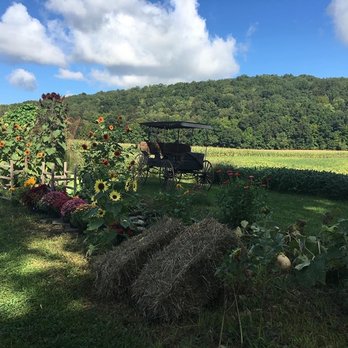 Howland Farm - undefined - Venues & Event Spaces Near Me - Newark Valley, New York Howland Farm - undefined - Venues & Event Spaces Near Me - Newark Valley, New York