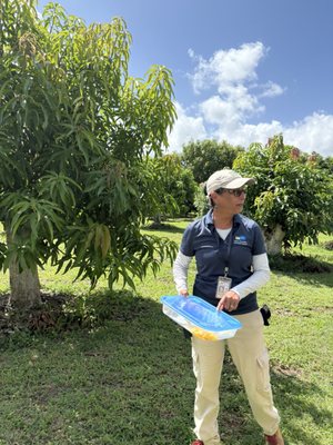 Fruit & Spice Park by null